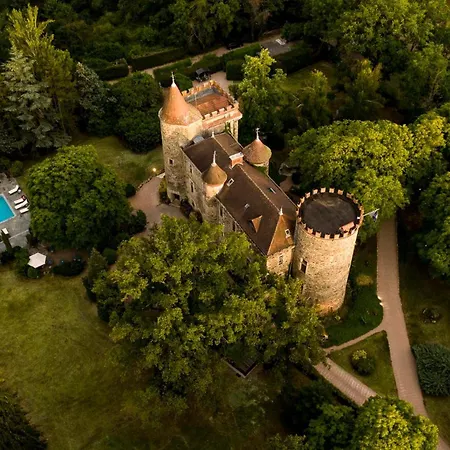 מלון Chateau De Codignat