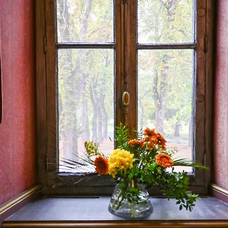 Chateau De Codignat Hotell