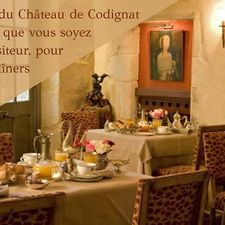 Chateau De Codignat * Lezoux