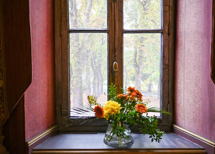 Chateau De Codignat מלון